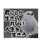 もっと自由にもっと自分らしく01（個別スタンプ：28）
