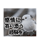 もっと自由にもっと自分らしく01（個別スタンプ：29）