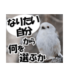 もっと自由にもっと自分らしく01（個別スタンプ：30）