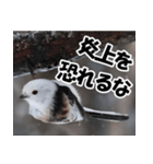 もっと自由にもっと自分らしく01（個別スタンプ：31）