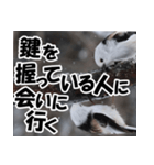 もっと自由にもっと自分らしく01（個別スタンプ：32）