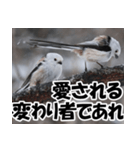 もっと自由にもっと自分らしく01（個別スタンプ：33）