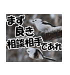もっと自由にもっと自分らしく01（個別スタンプ：35）