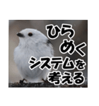 もっと自由にもっと自分らしく01（個別スタンプ：36）