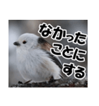 もっと自由にもっと自分らしく01（個別スタンプ：37）