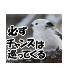 もっと自由にもっと自分らしく01（個別スタンプ：38）