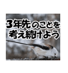 もっと自由にもっと自分らしく01（個別スタンプ：40）