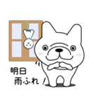 毎日フレブル犬♡（個別スタンプ：21）