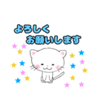 白猫にゃ助の毎日使えるLINEスタンプ（個別スタンプ：6）