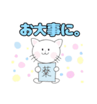 白猫にゃ助の毎日使えるLINEスタンプ（個別スタンプ：21）