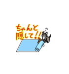 パグのQちゃん、ときどきミィ（個別スタンプ：16）