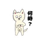 愛されてる犬（個別スタンプ：3）