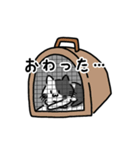 焼き猫スタンプ（個別スタンプ：7）