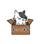 焼き猫スタンプ（個別スタンプ：8）