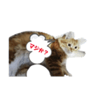 れお るか②（個別スタンプ：1）