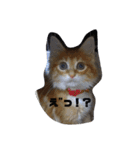 れお るか②（個別スタンプ：7）