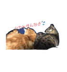 れお るか②（個別スタンプ：17）