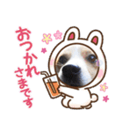 めるタンの日常スタンプ（個別スタンプ：13）