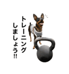 ミニピンそらっくりん(出勤Ver.)（個別スタンプ：9）