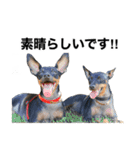 ミニピンそらっくりん(出勤Ver.)（個別スタンプ：13）