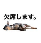 ミニピンそらっくりん(出勤Ver.)（個別スタンプ：18）