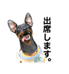 ミニピンそらっくりん(出勤Ver.)（個別スタンプ：19）
