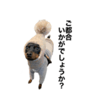 ミニピンそらっくりん(出勤Ver.)（個別スタンプ：20）