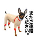 ミニピンそらっくりん(出勤Ver.)（個別スタンプ：24）