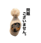 ミニピンそらっくりん(出勤Ver.)（個別スタンプ：33）