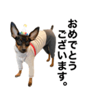 ミニピンそらっくりん(出勤Ver.)（個別スタンプ：38）