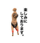 ミニピンそらっくりん(出勤Ver.)（個別スタンプ：39）