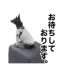 ミニピンそらっくりん(出勤Ver.)（個別スタンプ：40）