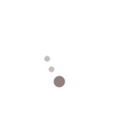 simple camera stamp（個別スタンプ：1）