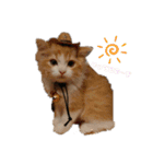 にゃんこ哲太の仲間たち（個別スタンプ：2）