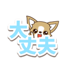 チワワ 犬スタンプ【くっきり大文字】（個別スタンプ：4）