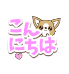 チワワ 犬スタンプ【くっきり大文字】（個別スタンプ：5）