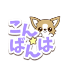 チワワ 犬スタンプ【くっきり大文字】（個別スタンプ：9）