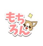 チワワ 犬スタンプ【くっきり大文字】（個別スタンプ：11）