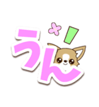 チワワ 犬スタンプ【くっきり大文字】（個別スタンプ：13）