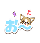 チワワ 犬スタンプ【くっきり大文字】（個別スタンプ：15）