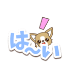 チワワ 犬スタンプ【くっきり大文字】（個別スタンプ：17）