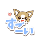 チワワ 犬スタンプ【くっきり大文字】（個別スタンプ：23）