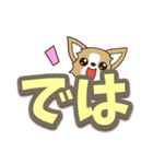 チワワ 犬スタンプ【くっきり大文字】（個別スタンプ：37）