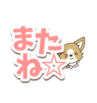 チワワ 犬スタンプ【くっきり大文字】（個別スタンプ：39）