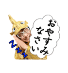 シャチ八郎の楽しいスタンプ（個別スタンプ：14）