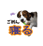 嵐夢すたんぷ②（個別スタンプ：3）