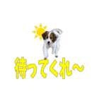 嵐夢すたんぷ②（個別スタンプ：4）