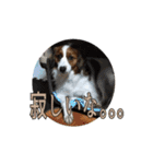 嵐夢すたんぷ②（個別スタンプ：5）