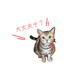 ツーリングのすたんぷ（個別スタンプ：9）