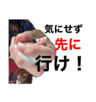ツーリングのすたんぷ（個別スタンプ：29）